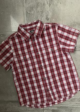 Сорочка , рубашка, теніска, котон