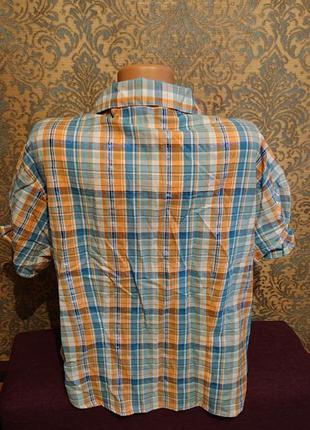 Жіноча блуза в клітку блузка блузочка великий розмір батал 48/504 фото