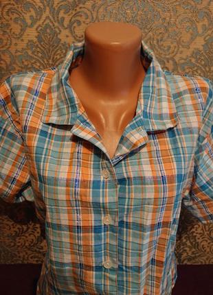 Жіноча блуза в клітку блузка блузочка великий розмір батал 48/505 фото