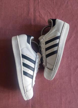 Кросівки adidas superstar bb3719 кроссовки adidas superstar