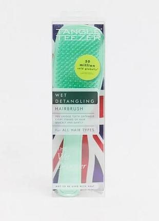 Гребінець для волосся м'яким пам'ятного кольору tangle teezer the wet detangler mint karma