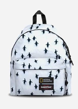 Рюкзак eastpak x national geographic padded pak'r1 фото