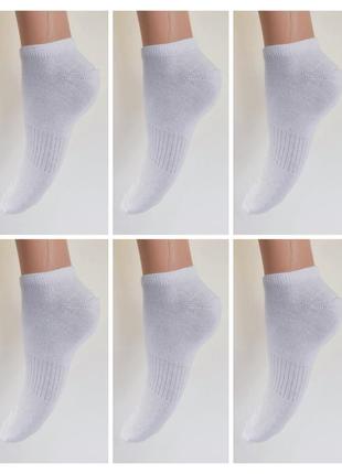 Короткі білі носки бавовна