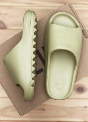 Шлёпанцы тапки женские лето 🔥adidas yeezy slide olive7 фото