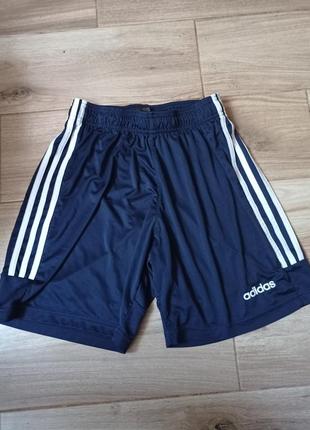 Шорти спортивні adidas climalite s-m