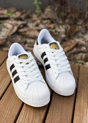 Кросівки adidas superstar