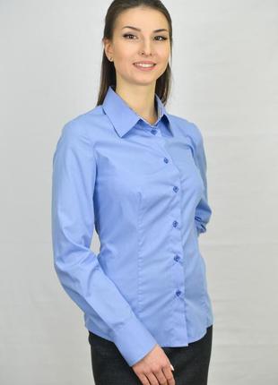 Классическая голубая блуза.1 фото