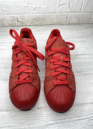 Кроссовки adidas super star