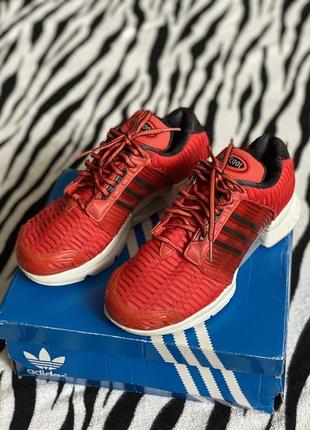 Adiprene climacool shop