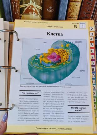 Домашняя медицинская энциклопедия5 фото