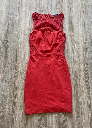 Сукня з мереживом zara
