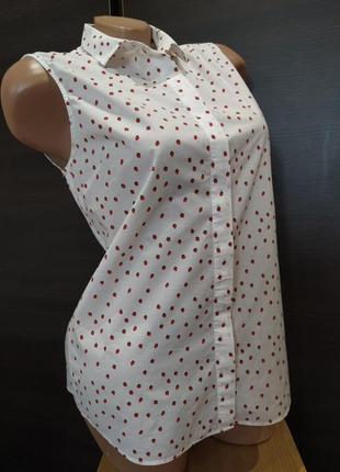 Ніжна блузка з полуничками antoni & alison