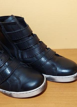 Жіночі черевики josef seibel