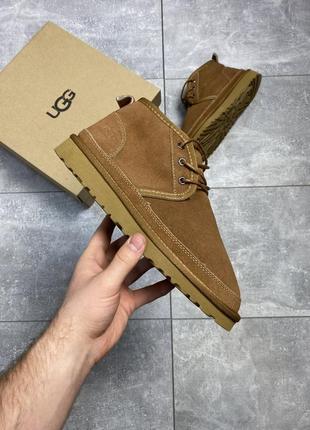 Женские мини угги на шнурках ugg australia neumel