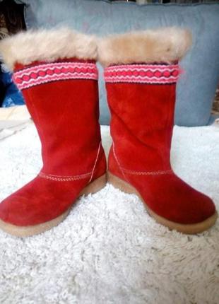 Чоботи замшеві чоботи замша, чоботи зимові
