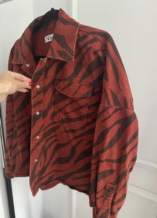 Кайфова джинсова куртка сорочка зебра