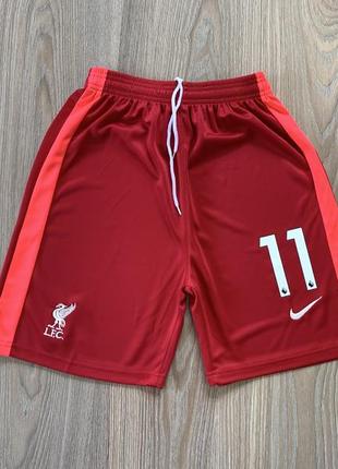 Чоловічі спортивні футболные шорти nike fc liverpool