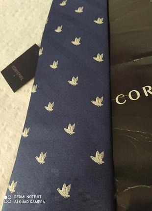 Галстук, краватка.