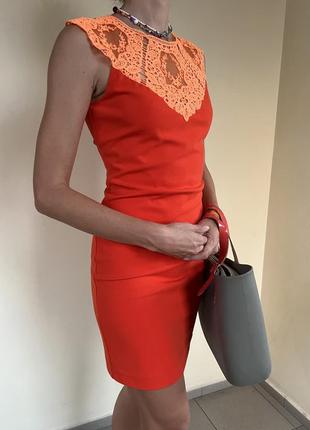 Сукня міні ted baker 4