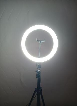 Кольцевая лампа1 фото