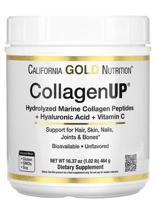Collagenup морський колаген з гилауроновою кислотою та вітамінному з 464 g.