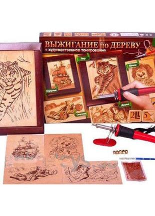 Набор для выжигания по дереву, +художественное тонирование 09139  danko toys т