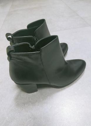 Черевики minelli