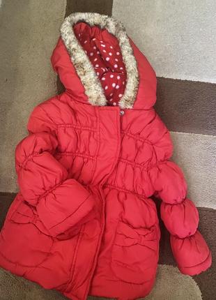 Куртка курточка