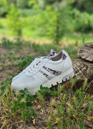 Кросівки tamaris оригінал. натуральна шкіра.