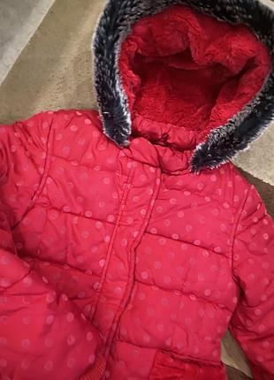 Куртка курточка