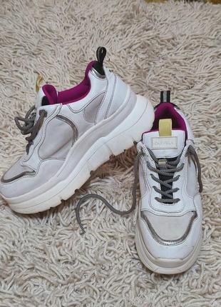 Кросівки,крассовки,кроси,carvela