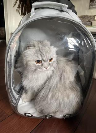 Рюкзак / сумка / переноска для кота чи собаки