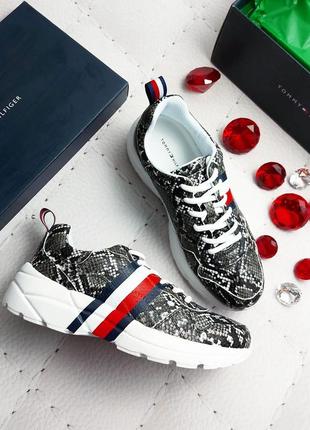 Tommy hilfiger оригінал кросівки з зміїним принтом
