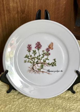 Фарфор kronester, bavaria. тарелка с цветами тимьяна. винтаж 60-х