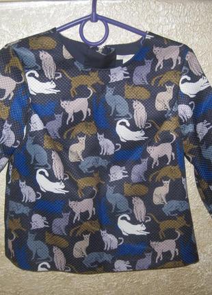 Очаровательная  блуза  в кошки  h&m xxs/xs