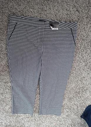 Нові штани бріджі ❤❤❤