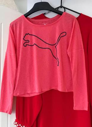 Кофтинка пума