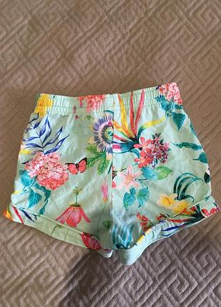 Шортики некст на дівчинку на 2 роки 4
