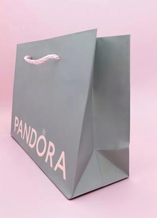 Пакет pandora