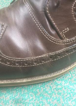 Крем для взуття італійський marga коричневий з ланоліном 41ml5 фото