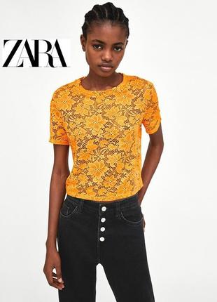 482. укорочений мереживною топ з короткими рукавами zara