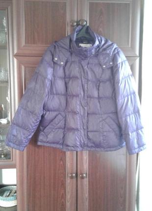 Короткая теплая фиолетовая стеганая куртка пуховик с капюшоном bonprix батал нюанс