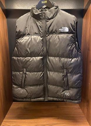 Жилетка the north face