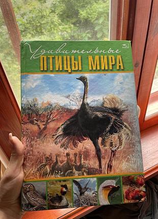 Книга пташки світу