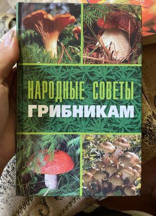 Народні  поради грибникам
