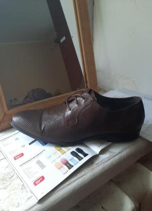 Туфлі чоловічі