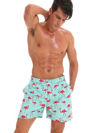 Мужские шорты с фламинго escatch