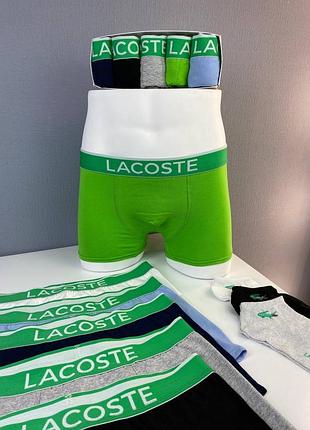 Набор мужских трусов lacoste