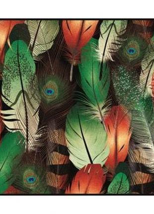 Коврик придверный разноцветные перья 75х45х0,5 см (5210)1 фото