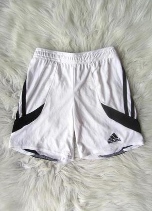 Спортивные футбольные шорты adidas  nova climalite5 фото